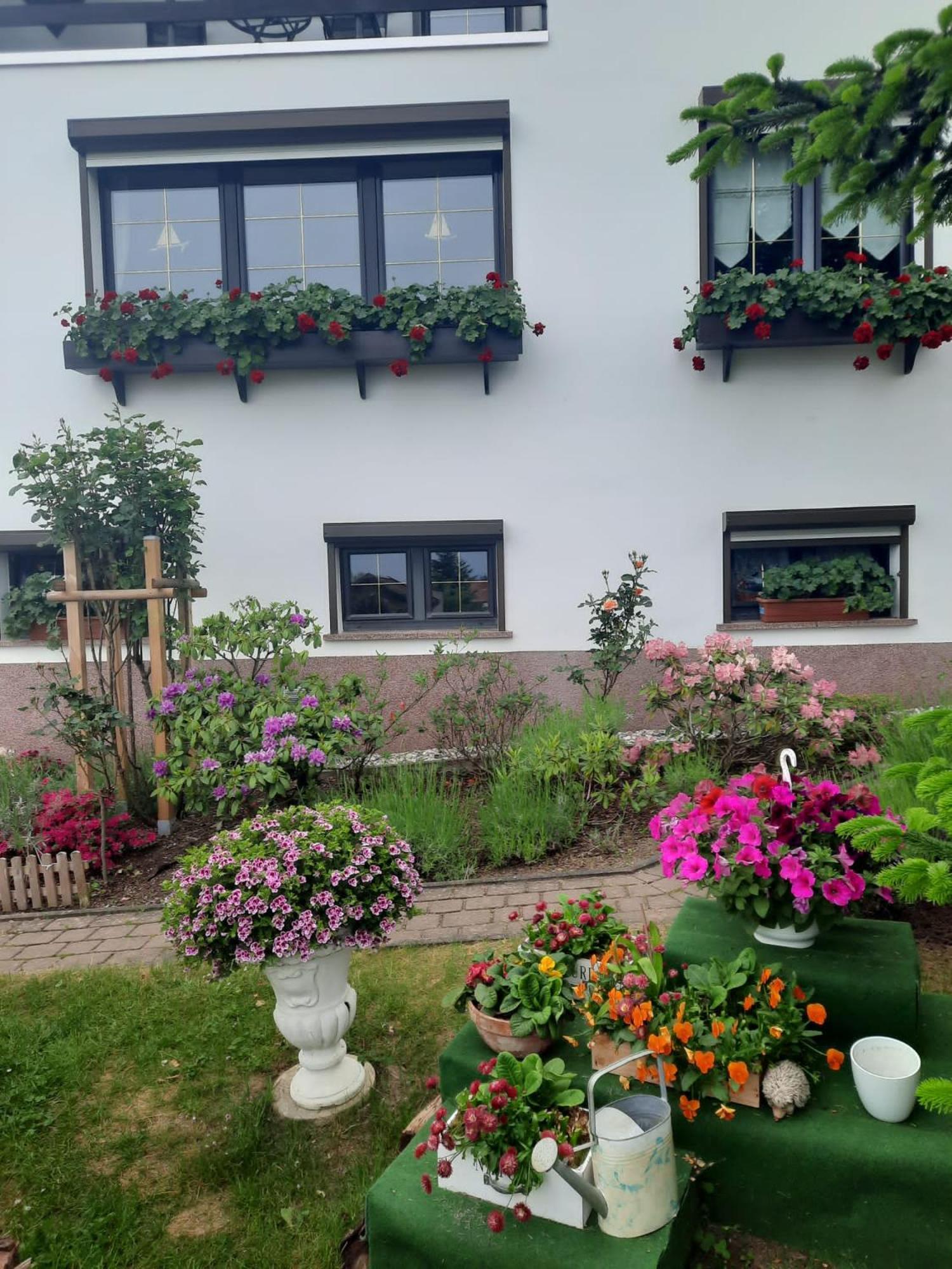 Ferienwohnung"Harzliebe" Gernrode  Bagian luar foto